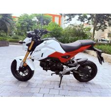 Bán xe Honda MSX 125 cũ đời 2020 giá 3x triệu