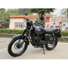 Bán xe Kawasaki W175 cũ 2023 giá 61.5 triệu
